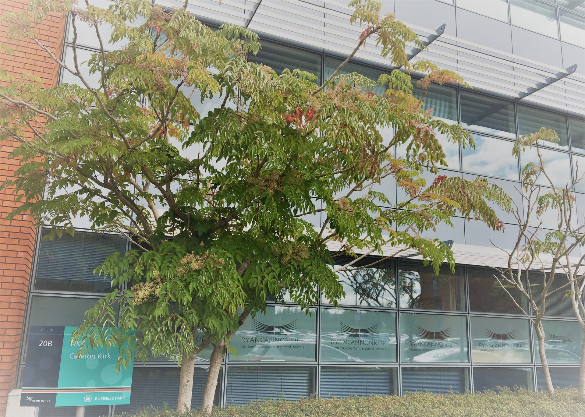 Ryan Cannon Kirk and Company Start-Ups corporate offices at 20B Beckett Way, Park West Business Park